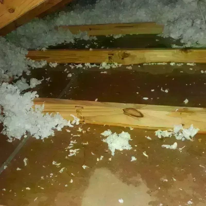 Attic Water Damage in Summers County, WV